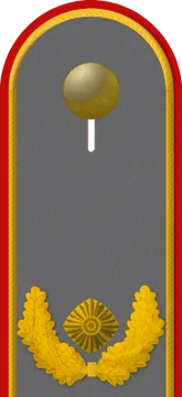 Dienstgradabzeichen Brigadegeneral, Heer