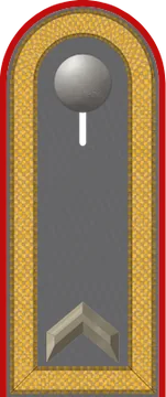 Dienstgradabzeichen Feldwebel, Heer