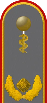 Dienstgradabzeichen Generalarzt, Heer