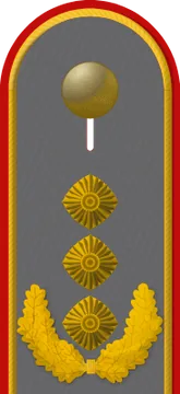 Dienstgradabzeichen Generalleutnant, Heer