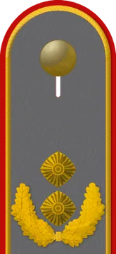 Dienstgradabzeichen Generalmajor, Heer