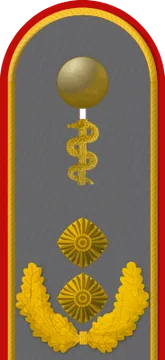 Dienstgradabzeichen Generalstabsarzt, Heer