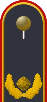 Dienstgradabzeichen Brigadegeneral, Luftwaffe
