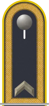 Dienstgradabzeichen Fähnrich, Luftwaffe