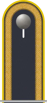 Dienstgradabzeichen Fahnenjunker, Luftwaffe