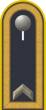 Dienstgradabzeichen Feldwebel, Luftwaffe
