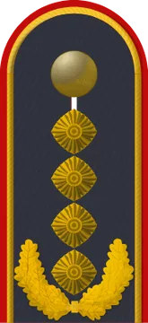 Dienstgradabzeichen General, Luftwaffe