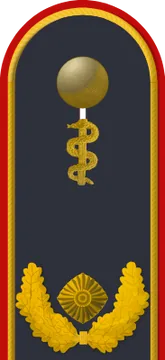 Dienstgradabzeichen Generalarzt, Luftwaffe