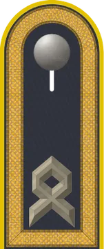 Dienstgradabzeichen Hauptfeldwebel, Luftwaffe