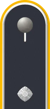 Dienstgradabzeichen Leutnant, Luftwaffe