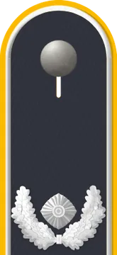 Dienstgradabzeichen Major, Luftwaffe