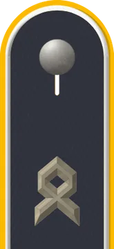 Dienstgradabzeichen Oberfähnrich, Luftwaffe