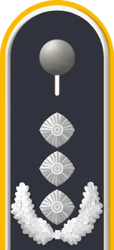 Dienstgradabzeichen Oberst, Luftwaffe