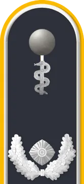 Dienstgradabzeichen Oberstabsarzt, Luftwaffe