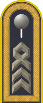 Dienstgradabzeichen Oberstabsfeldwebel, Luftwaffe
