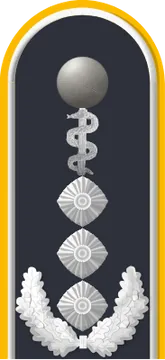 Dienstgradabzeichen Oberstarzt, Luftwaffe