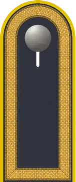 Dienstgradabzeichen Stabsunteroffizier, Luftwaffe