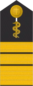 Dienstgradabzeichen Admiraloberstabsarzt, Schulterklappe
