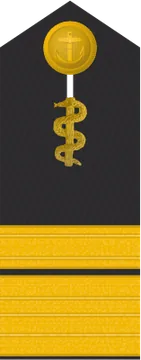Dienstgradabzeichen Admiralstabsarzt, Schulterklappe