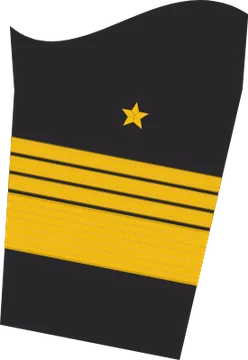 Dienstgradabzeichen Admiral, Ärmelabzeichen