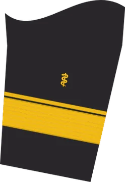 Dienstgradabzeichen Admiralarzt, Ärmelabzeichen