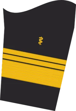 Dienstgradabzeichen Admiraloberstabsarzt, Ärmelabzeichen