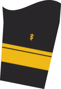 Dienstgradabzeichen Admiralstabsarzt, Ärmelabzeichen