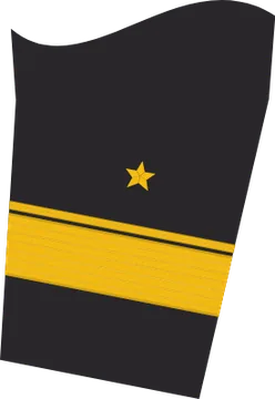 Dienstgradabzeichen Flottillenadmiral, Ärmelabzeichen