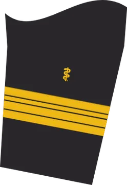 Dienstgradabzeichen Flottillenarzt, Ärmelabzeichen