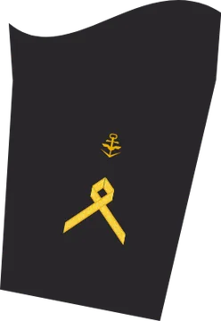 Dienstgradabzeichen Hauptbootsmann, Ärmelabzeichen