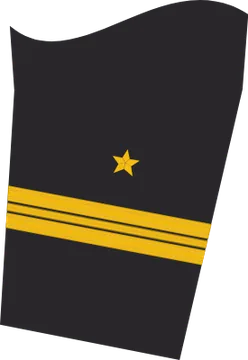 Dienstgradabzeichen Kapitänleutnant, Ärmelabzeichen