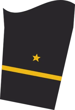 Dienstgradabzeichen Leutnant zur See, Ärmelabzeichen