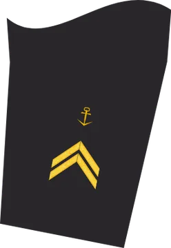 Dienstgradabzeichen Oberbootsmann, Ärmelabzeichen