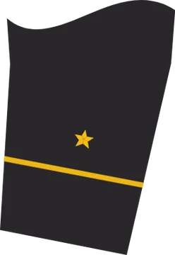Dienstgradabzeichen Oberfähnrich zur See, Ärmelabzeichen