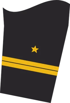 Dienstgradabzeichen Oberleutnant zur See, Ärmelabzeichen