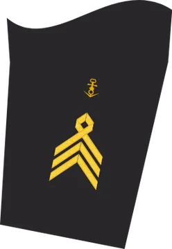 Dienstgradabzeichen Oberstabsbootsmann, Ärmelabzeichen