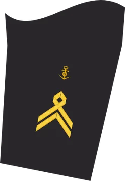 Dienstgradabzeichen Stabsbootsmann, Ärmelabzeichen