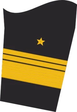 Dienstgradabzeichen Vizeadmiral, Ärmelabzeichen