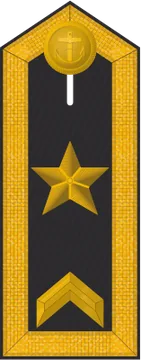 Dienstgradabzeichen Fähnrich zur See, Schulterklappe