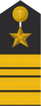 Dienstgradabzeichen Fregattenkapitän, Schulterklappe