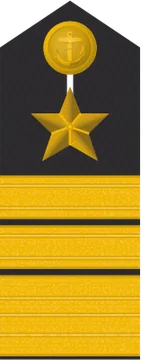 Dienstgradabzeichen Vizeadmiral, Schulterklappe