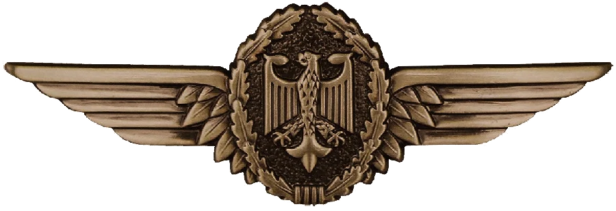 Tätigkeitsabzeichen Militärluftfahrzeugführer (Pilot)