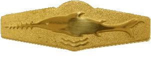 Tätigkeitsabzeichen Schwimmtaucher