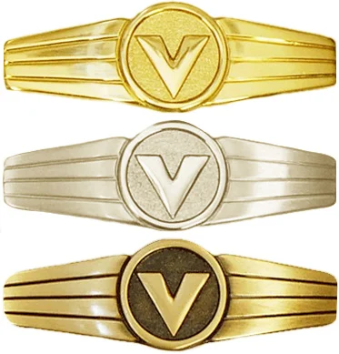 Tätigkeitsabzeichen Versorgungs- und Nachschubpersonal in Gold, Silber und Bronze